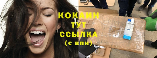 прущие грибы Касимов