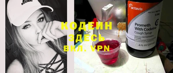 сатива Карталы
