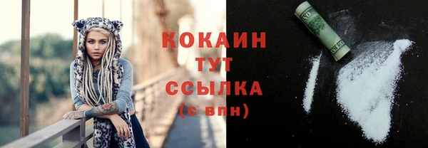 сатива Карталы