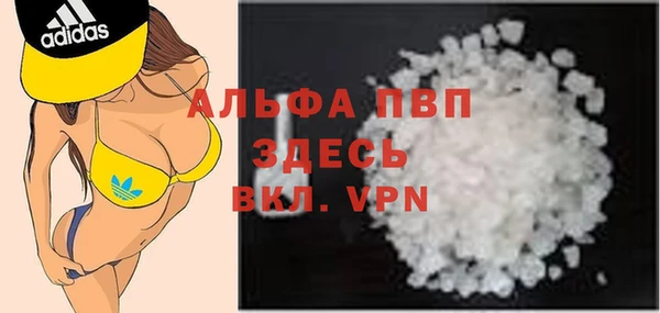 трава Карпинск