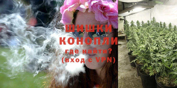 сатива Карталы
