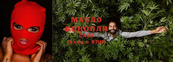 индика Каменка