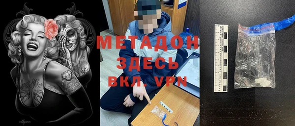 прущие грибы Касимов