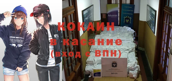 трава Карпинск