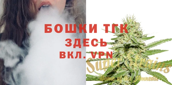 сатива Карталы