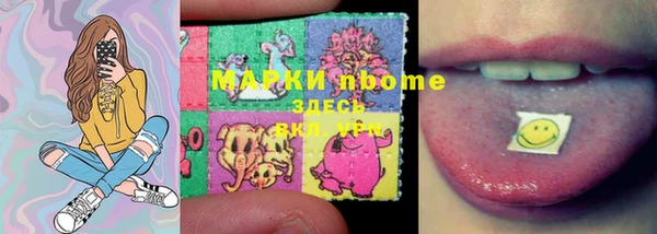 прущие грибы Касимов